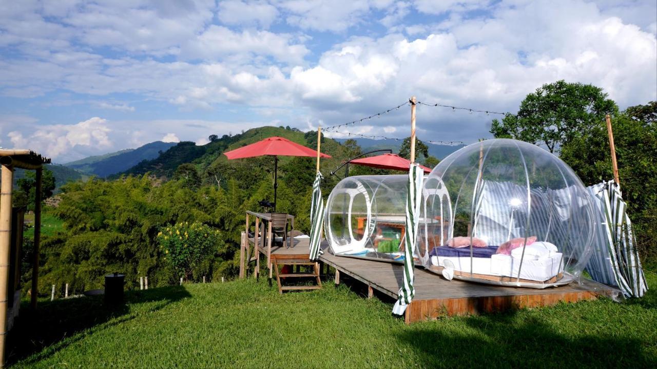 Отель Glamping Del Cafe Санта-Роса-де-Кабаль Номер фото